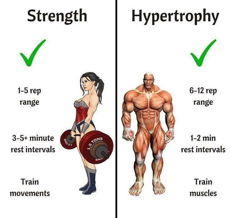 Strength vs Hypertrophy